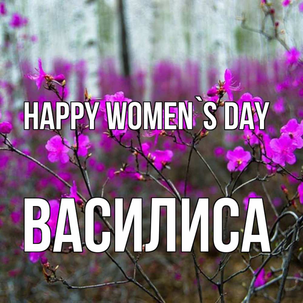 Greetings card с именем, Василиса happy women`s day дикие цветы Greetings with text for free download 